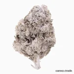 Flower | 'Lemon Cheese Indoor 23' | THCA | Coated