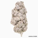 Flower | 'Manderine 25' | THCA | Coated