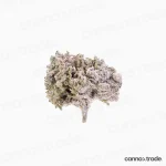 Flower | 'Orange Small 22' | THCA | Coated