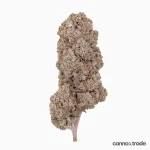 Flower | 'Orange Indoor 23' | THCA | Coated