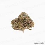 Flower | 'Orange Small Buds' | CBD