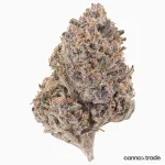 Flower | 'Pink Panther Glasshouse 24' | THCA | Coated