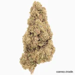 Flower | 'Raspberry Kush' | CBD