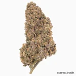 Flower | 'Tangy Dream' | CBD |