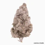 Flower | 'Cheetah Kush' | CBD