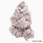 Flower | 'Purple Candy 24' | THCA | Coated | 3g Sample