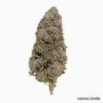 Flower | 'Bangkok Sativa 23' | THCA | Coated