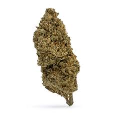 Gelato THCa Flower Gelato THCa Flower - Image 1