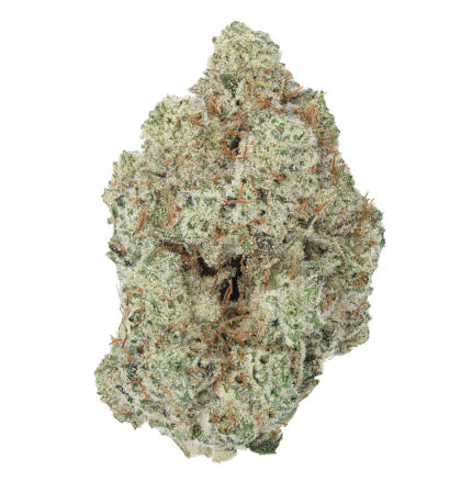 Gorilla Glue THCa Flower